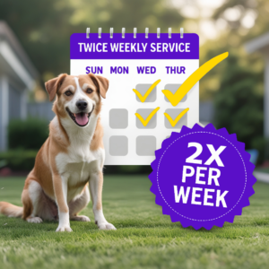 A dog sitting on a clean lawn next to a calendar with checkmarks and a stamp