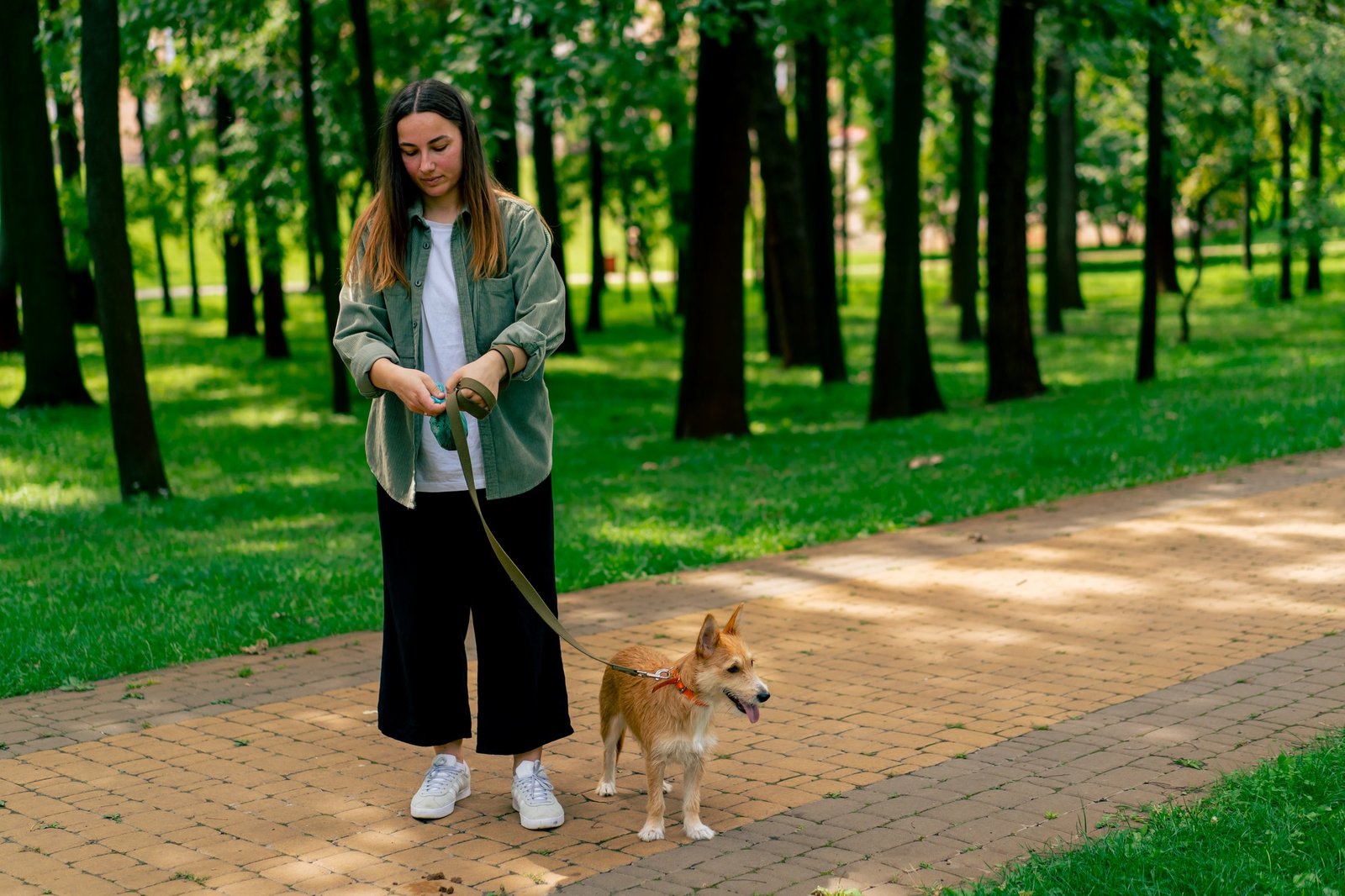 Woman picking up dog poop from the footpath in a city park